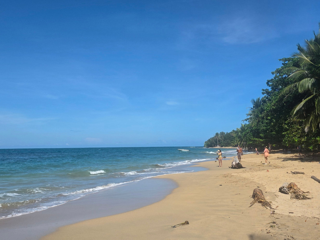 Playa Punta Uva-Punta Uva必去景点