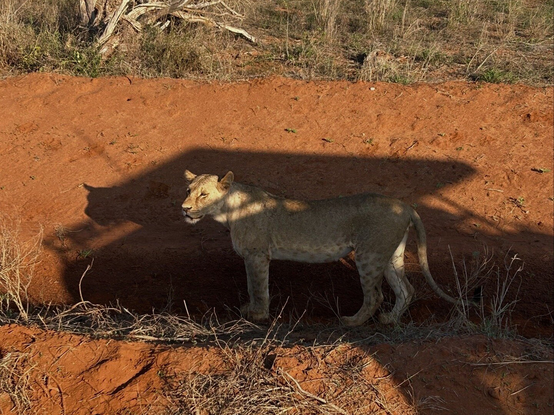 Watamu Diego Safari Day Tours-瓦塔木必去景点