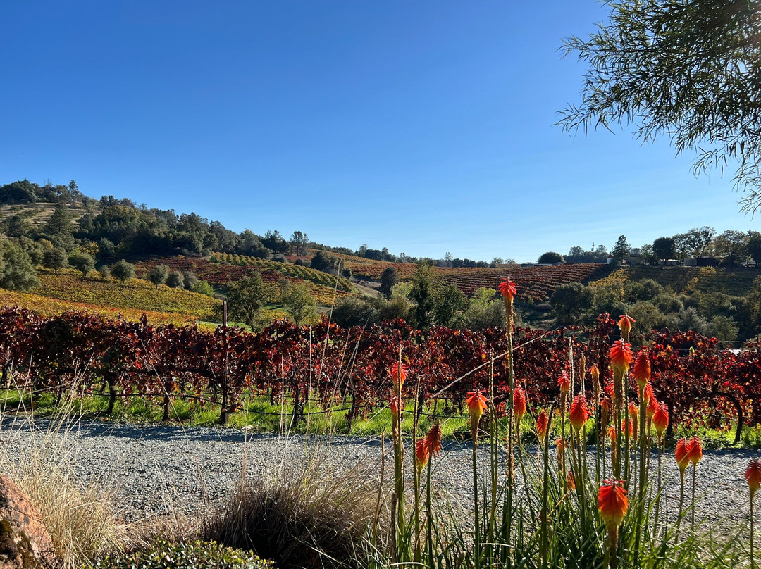 Iron Hub Winery-Plymouth必去景点