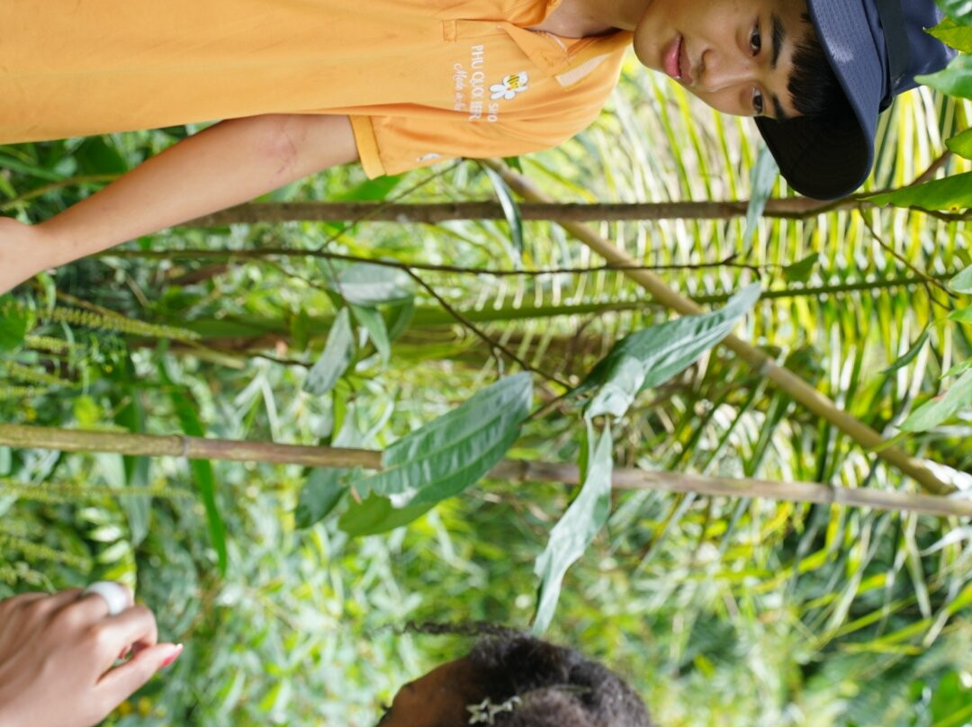 富国岛蜜蜂农场-富国岛必去景点