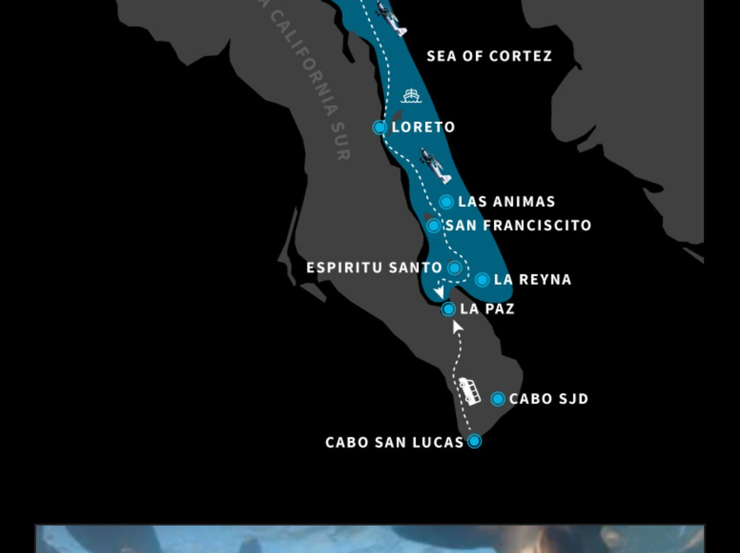 科提兹海-下加利福尼亚州必去景点