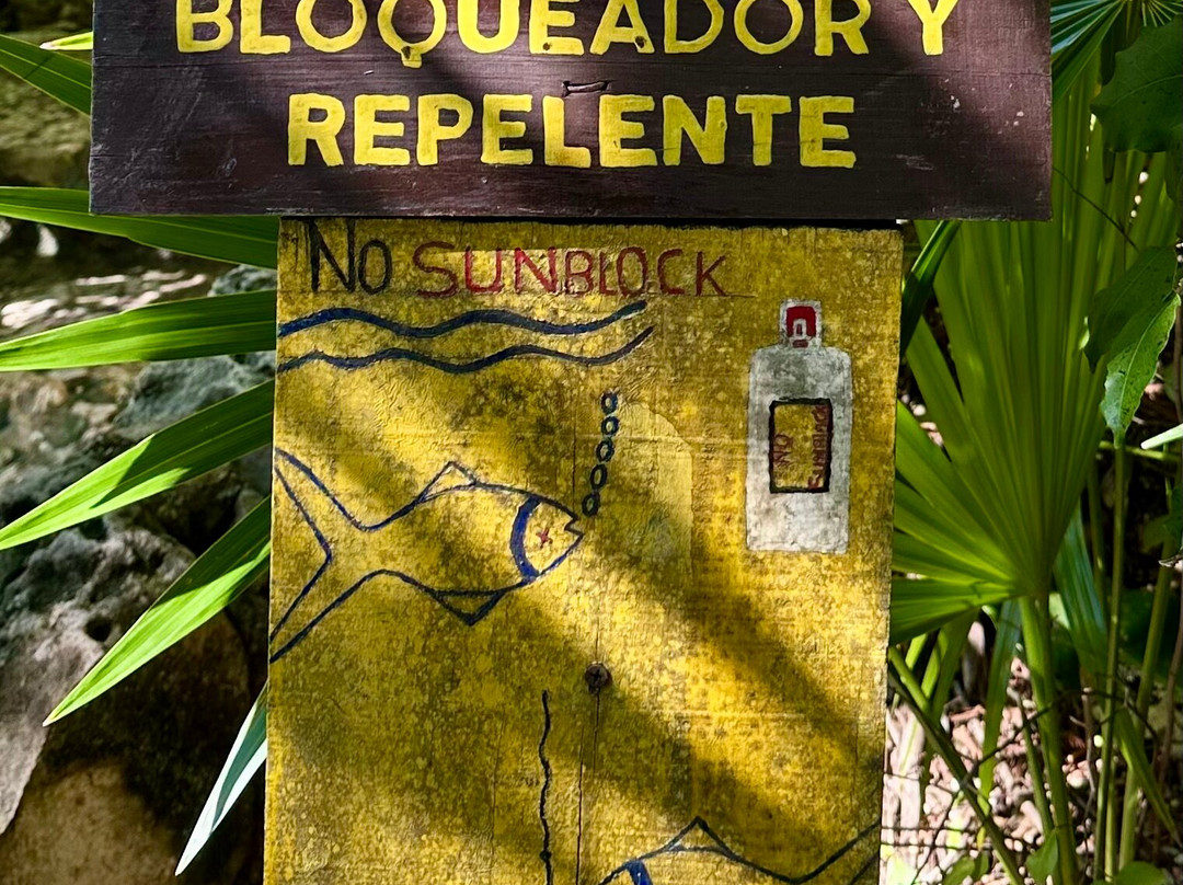 Cenote Azul-尤卡坦半岛必去景点