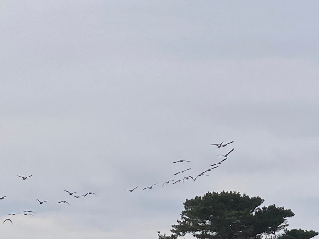 Inns of Mendocino主图