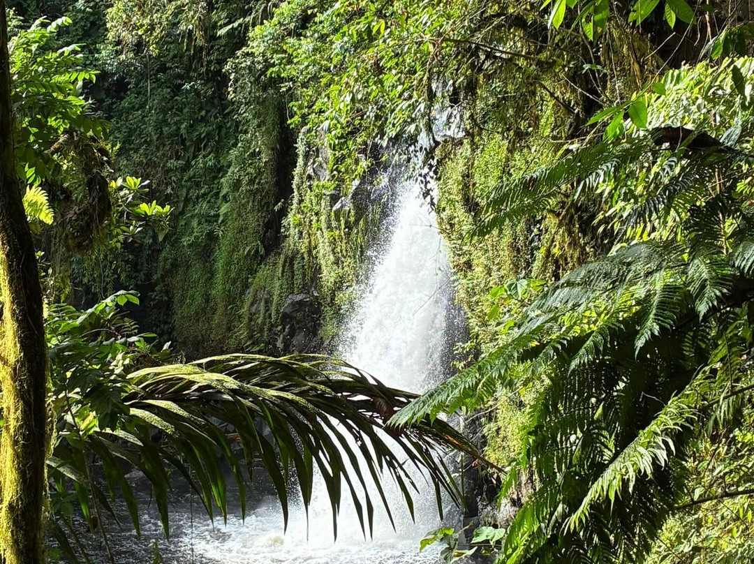 Liduduhniap Falls-朋拜必去景点