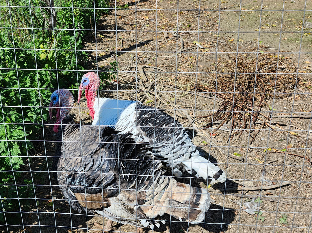 Les Couleurs De La Terre-Yamachiche必去景点