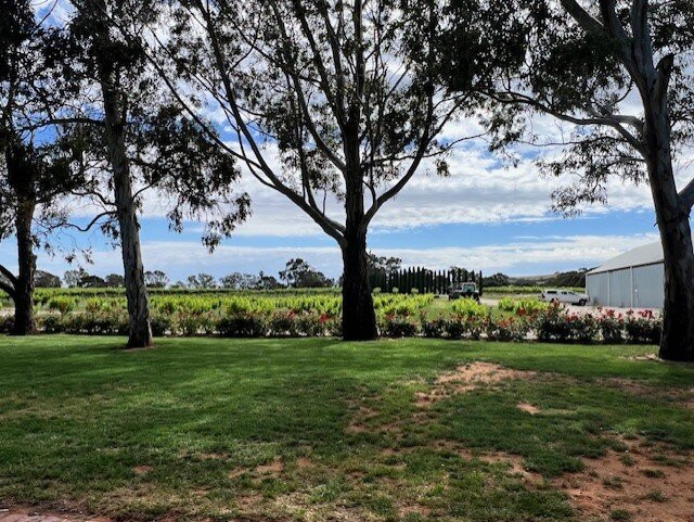 Charles Melton Wines-塔努达必去景点