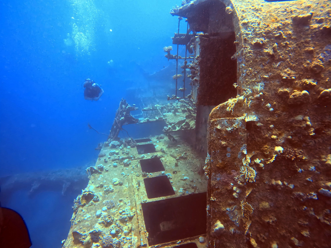 Shams Diving Center-Safaga必去景点