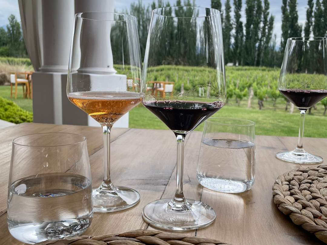 Bodega Nieto Senetiner-路冉得库约必去景点