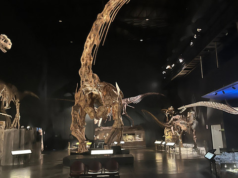 Dinosaur Trips-卡尔加里必去景点