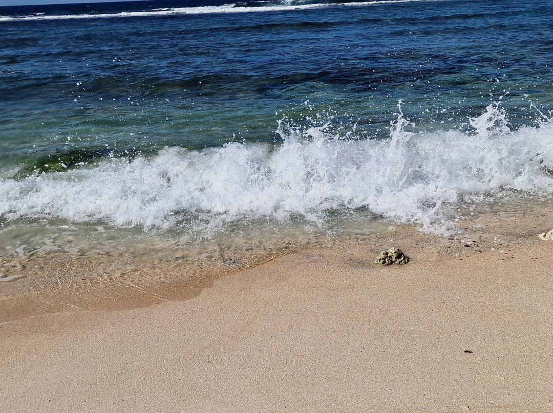 Anahulu Cave - The Underground Swimming Pool-Haveluliku必去景点