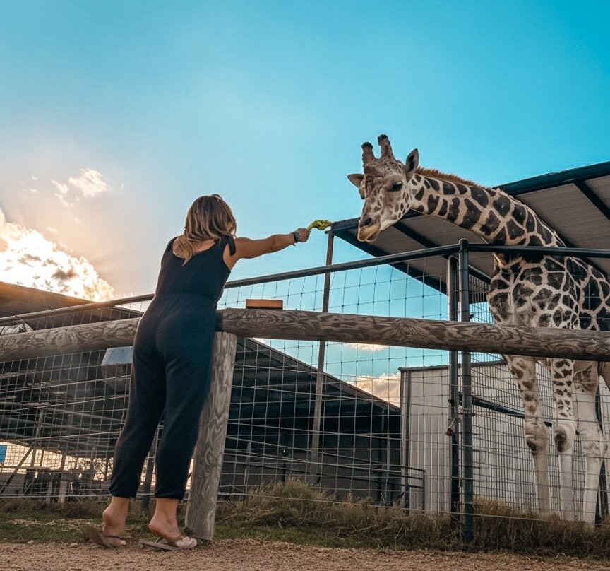 Aggieland Safari-布赖恩必去景点