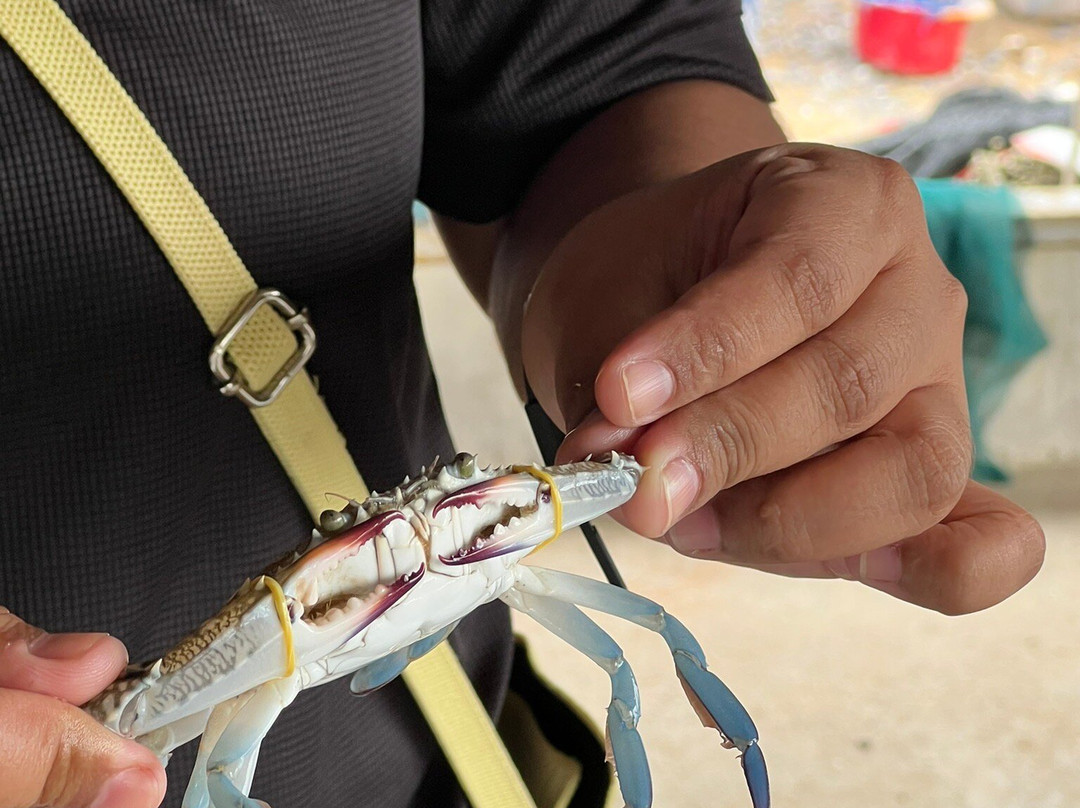 Feast Thailand-华欣必去景点