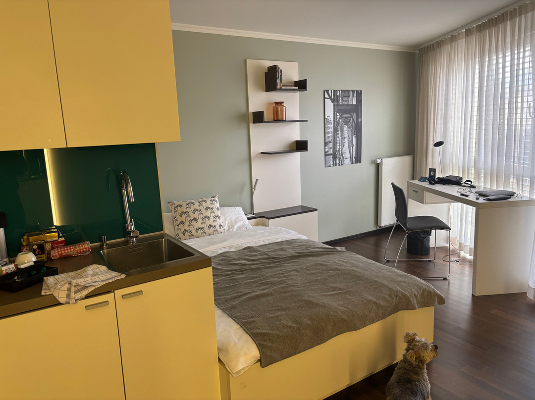 国旗苏黎世酒店主图