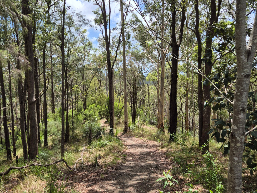 Glass House Mountains Visitor and Interpretive Centre-Glass House Mountains必去景点