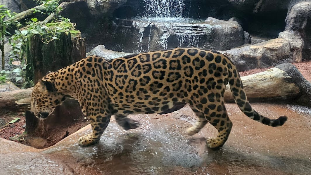 Sol Tropical Day Tours-圣何塞必去景点