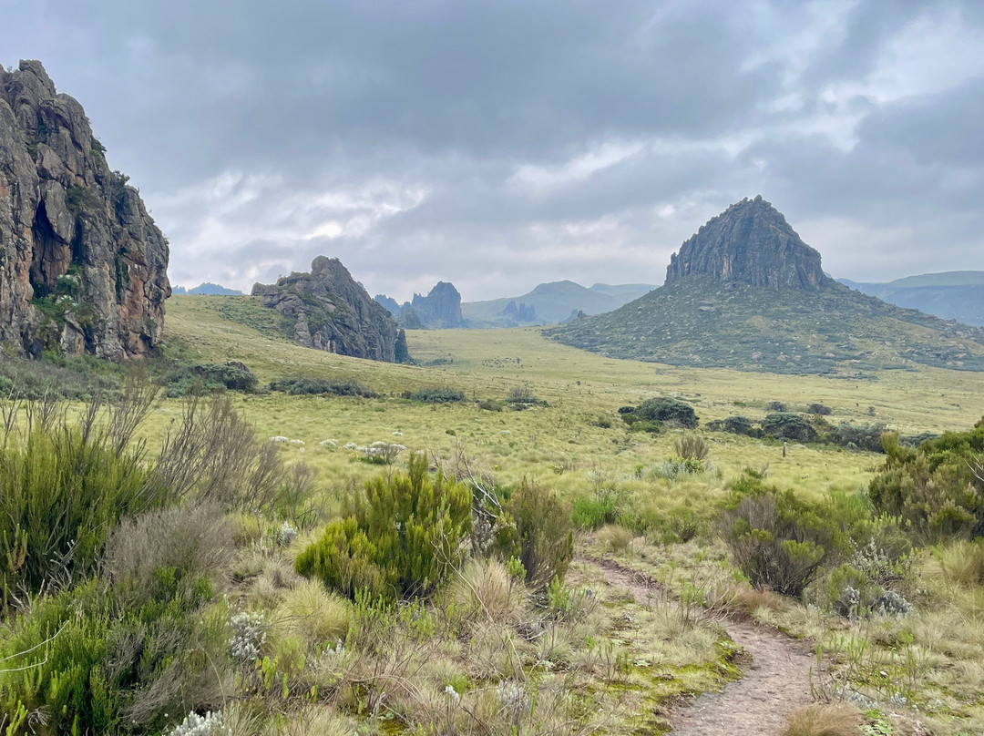 Mega Wild Safaris-坎帕拉必去景点