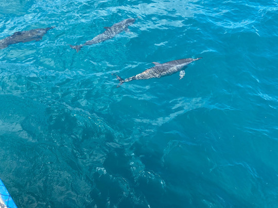 Trovao dos Mares-费尔南多-迪诺罗尼亚群岛必去景点