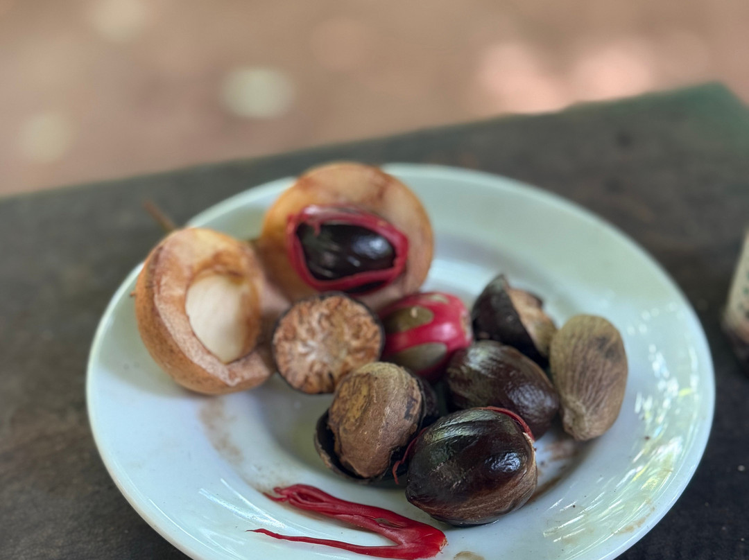 Sirilak Spice & Herbal Garden-Matale必去景点