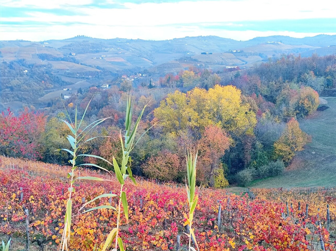 Cascina Roreto主图