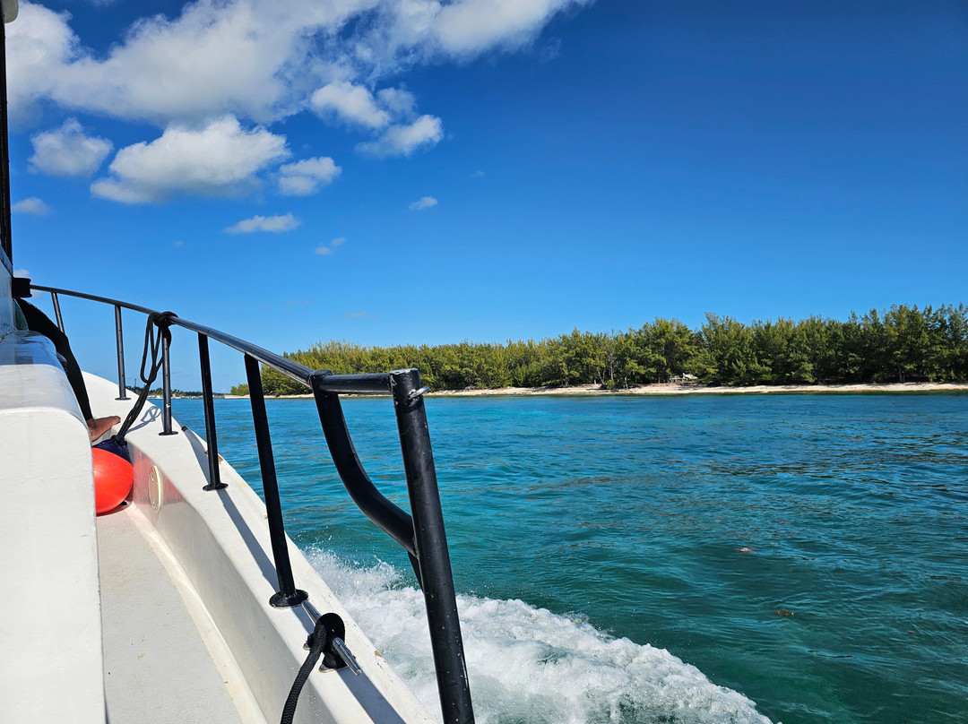 Neal Watson's Bimini Scuba Center-Alice Town必去景点