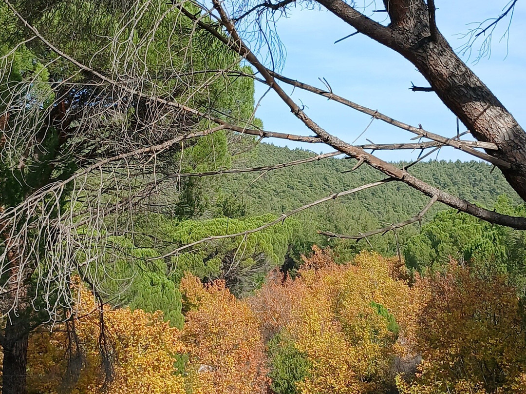 Madra Dağı-巴勒克西尔必去景点