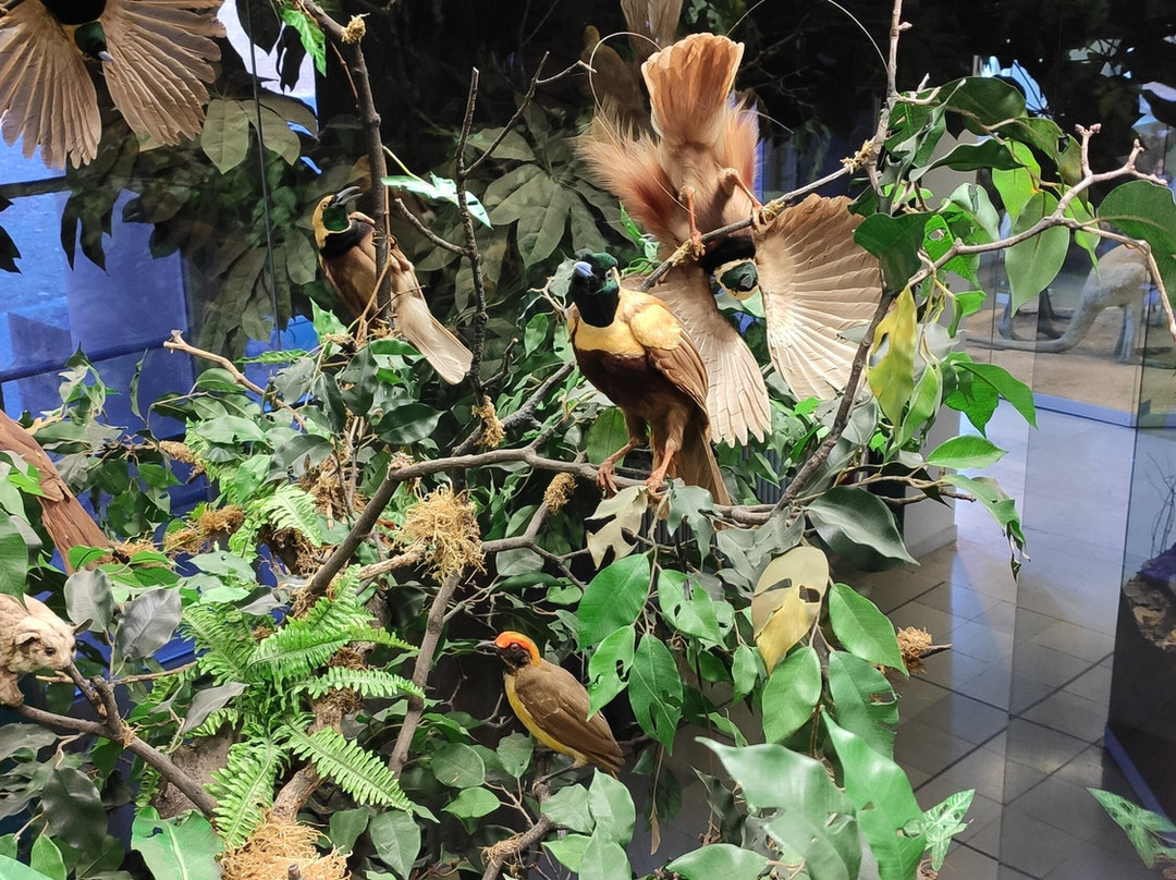 Naturkunde Museum Stuttgart-斯图加特必去景点