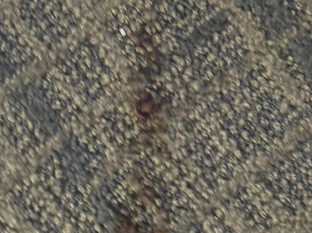 坦帕桑科斯特大路北点村原住客栈主图