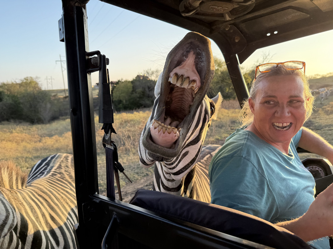 Blue Hills Ranch-McGregor必去景点