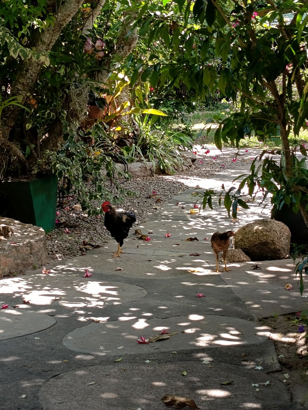 Pension Michel-官方