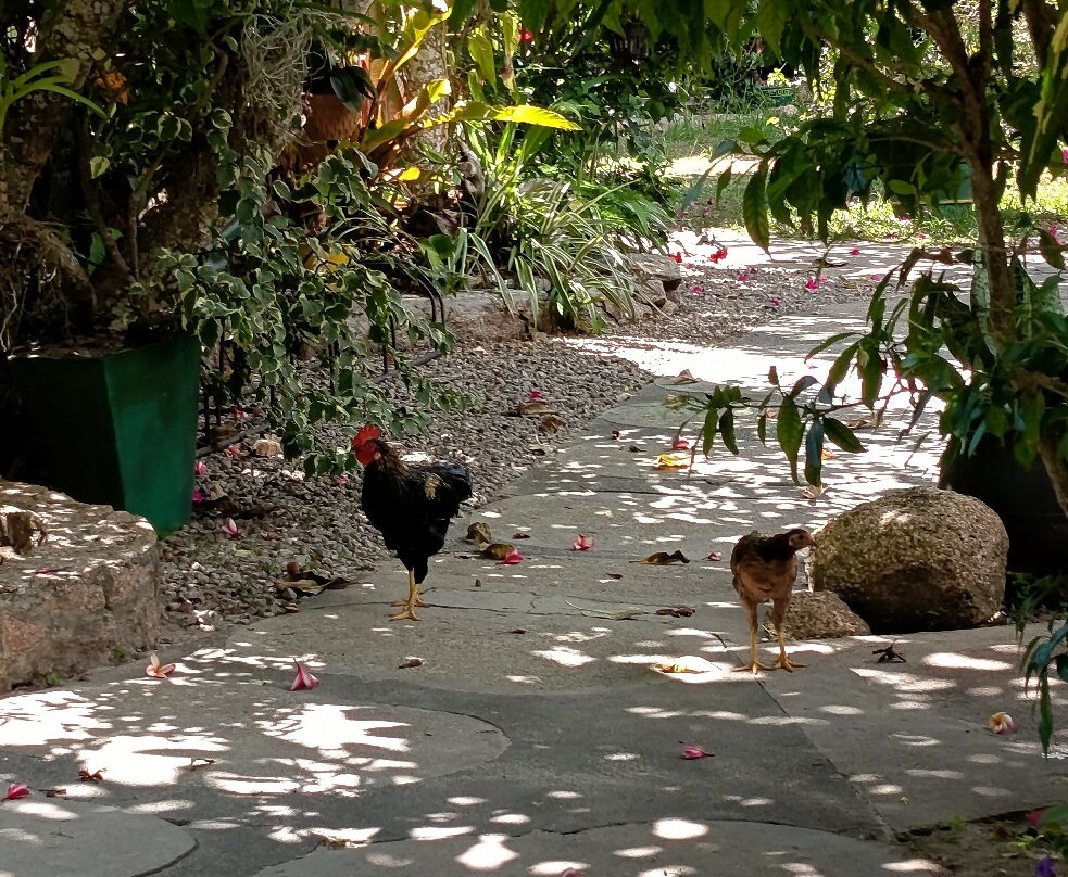 Pension Michel主图