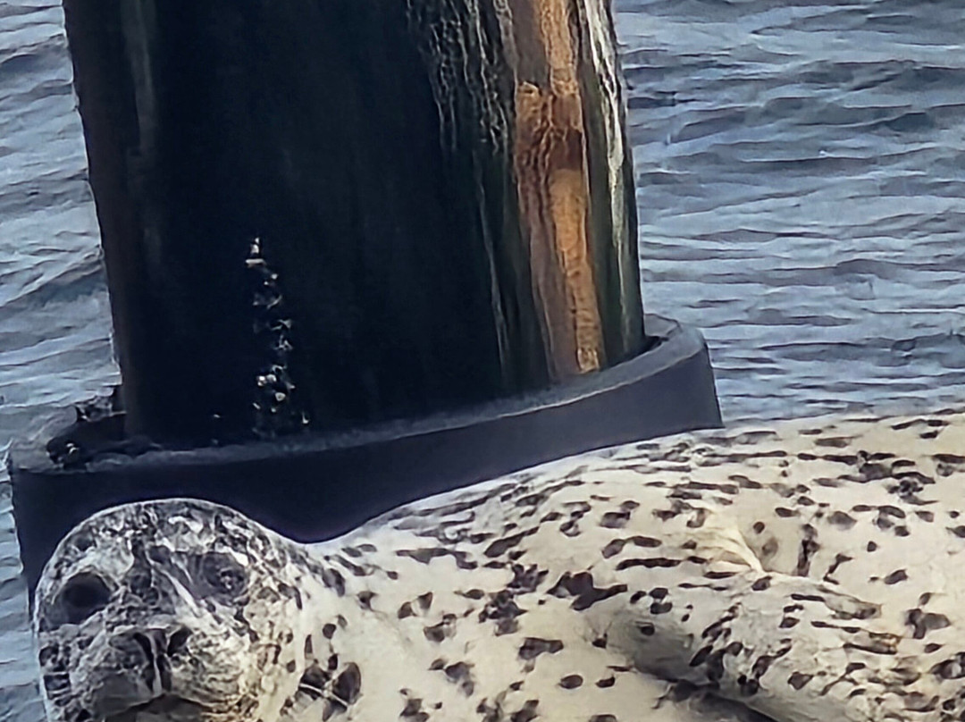 Glen Ayr Resort主图