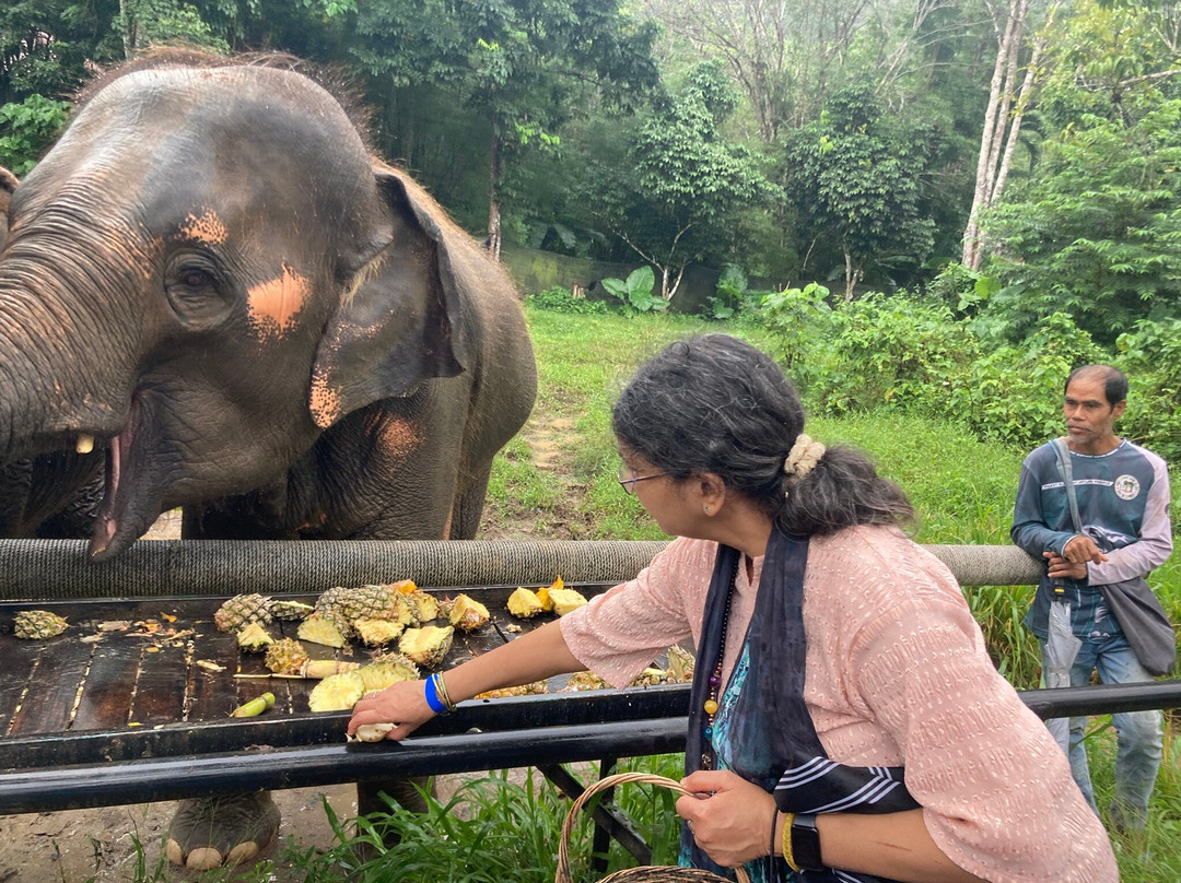 Phuket Elephant Nature Reserve-他朗必去景点