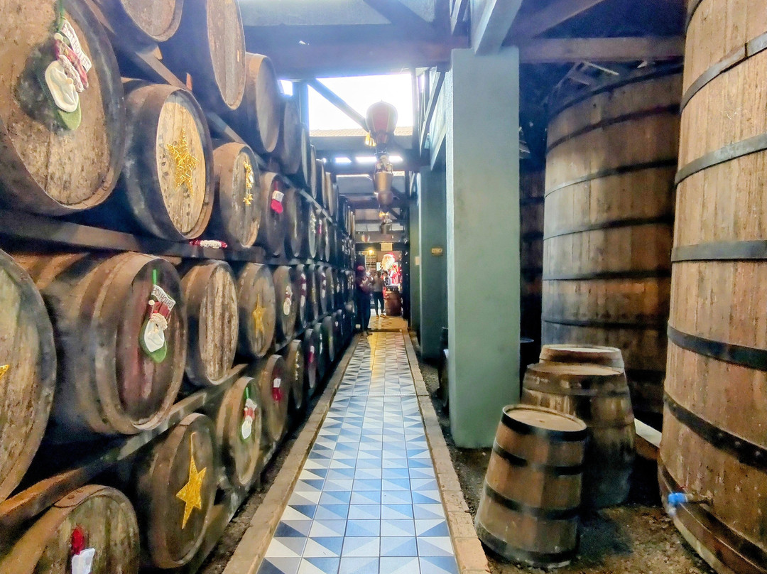 Destilaria Monte Verde-蒙特贝尔德必去景点