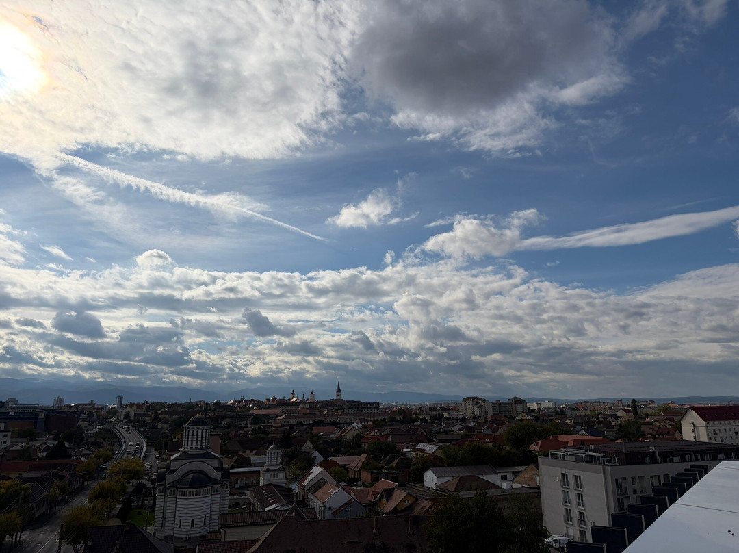 Hermanns Hotel & Spa Sibiu主图