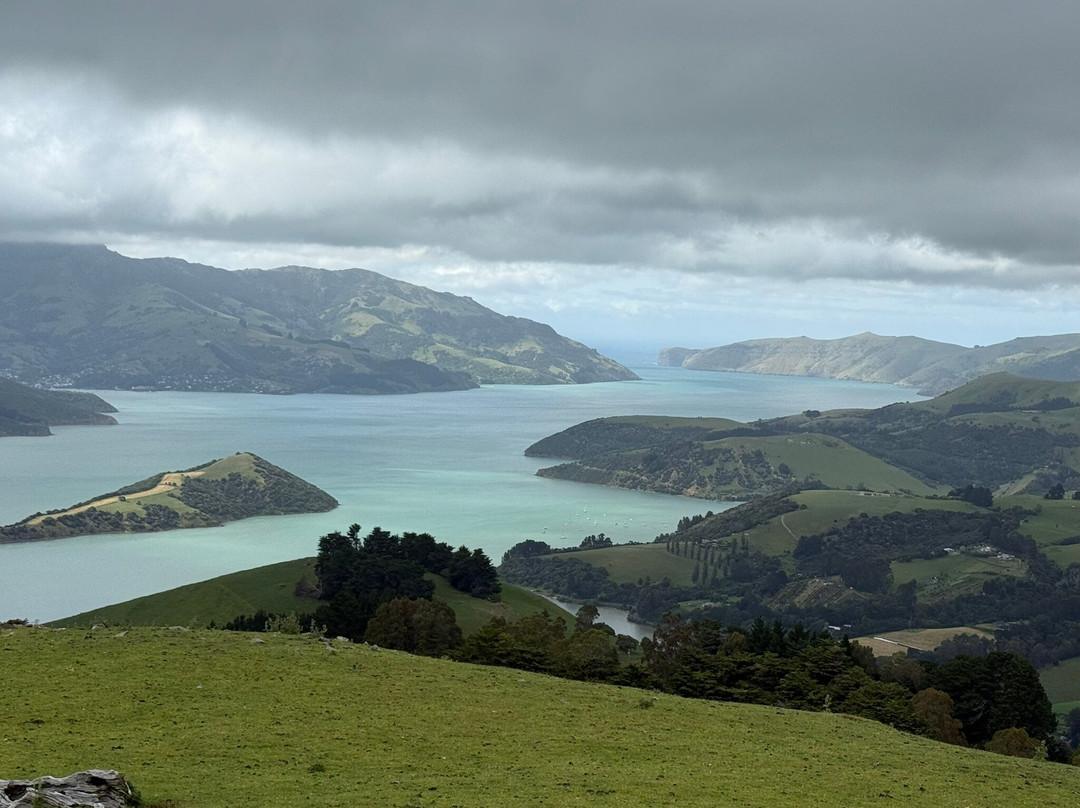 Akaroa's Eastern Bays Scenic Mail Run-阿卡罗阿必去景点