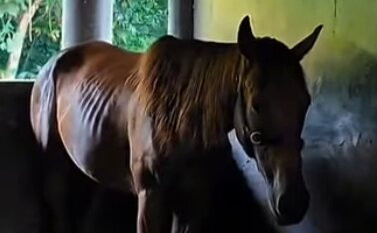 Alphaland Balesin Island Club-Polillo Island必去景点