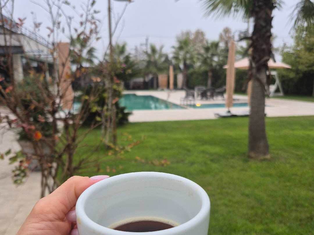 Didi Otel Sapanca主图