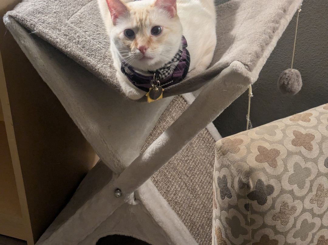 StoneHill Norman, Trademark Collection by Wyndham主图