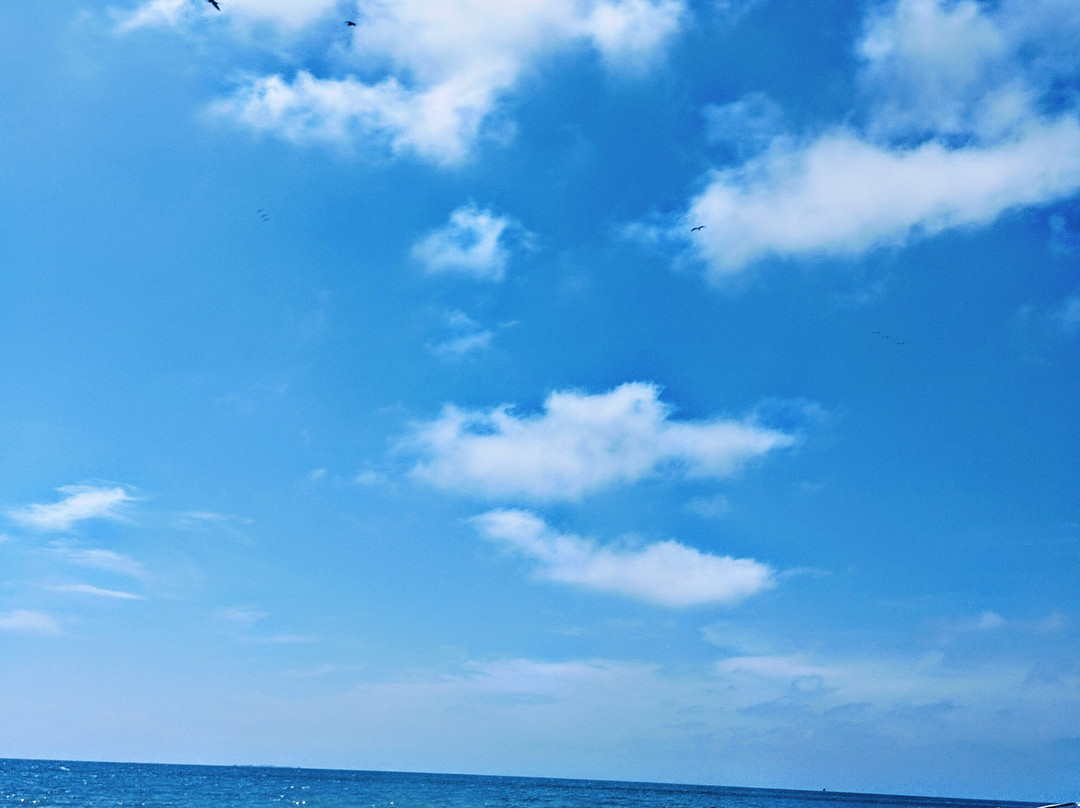 Aquarius Diving Club-Rincon del Mar必去景点