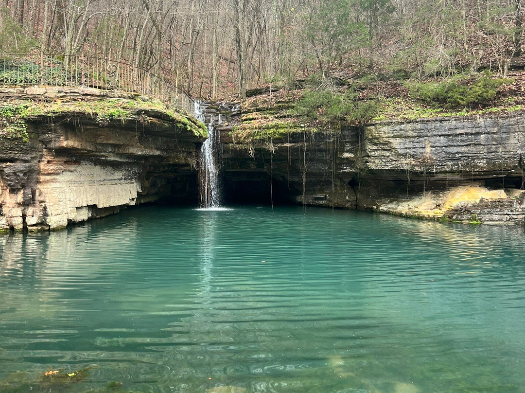 Dogwood Canyon Nature Park-Lampe必去景点
