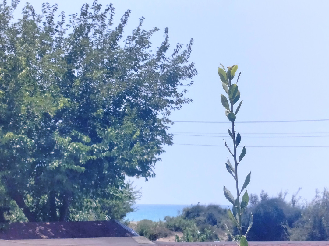 Aperion Beach Hotel Antalya主图