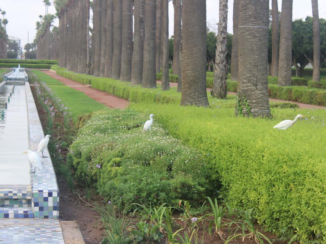 Parc de la Ligue Arabe-卡萨布兰卡必去景点