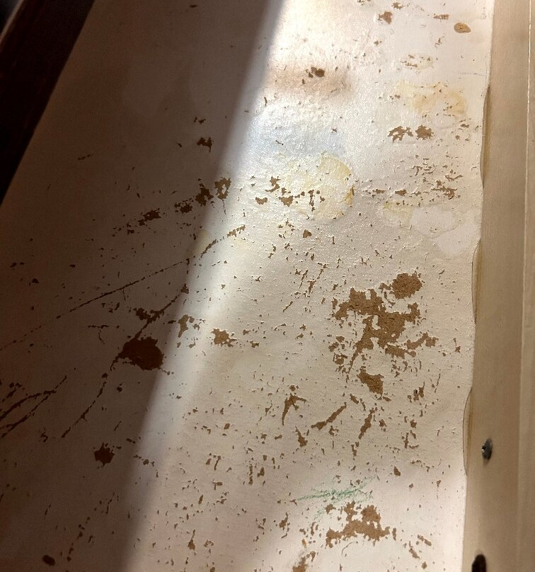 Red Roof Inn Ann Arbor - U of Michigan South主图