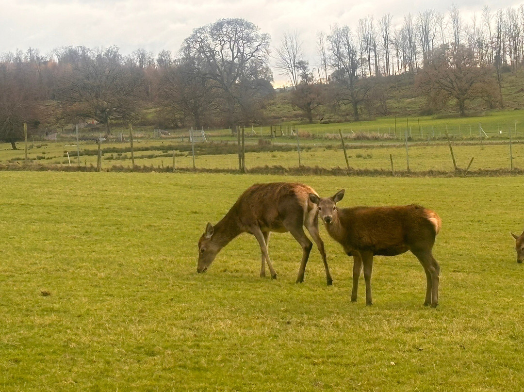Gosford Forest Park-阿尔马必去景点