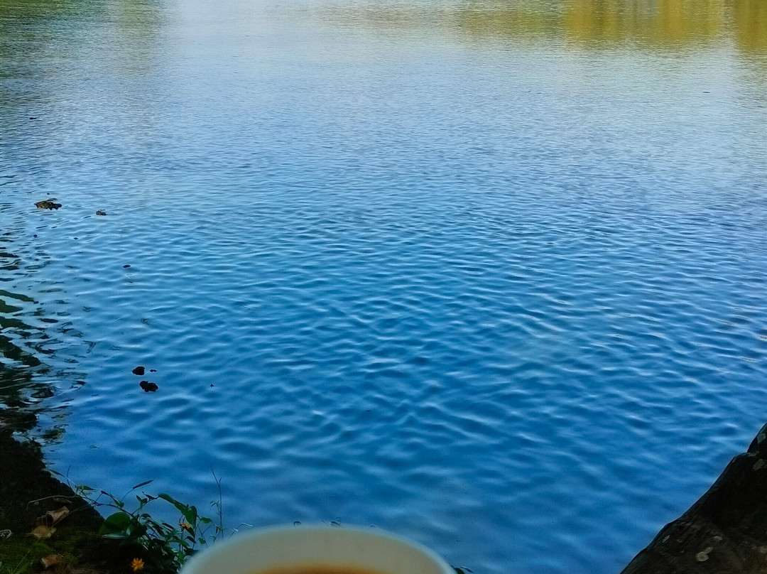 Green Chromide River View Wooden House主图