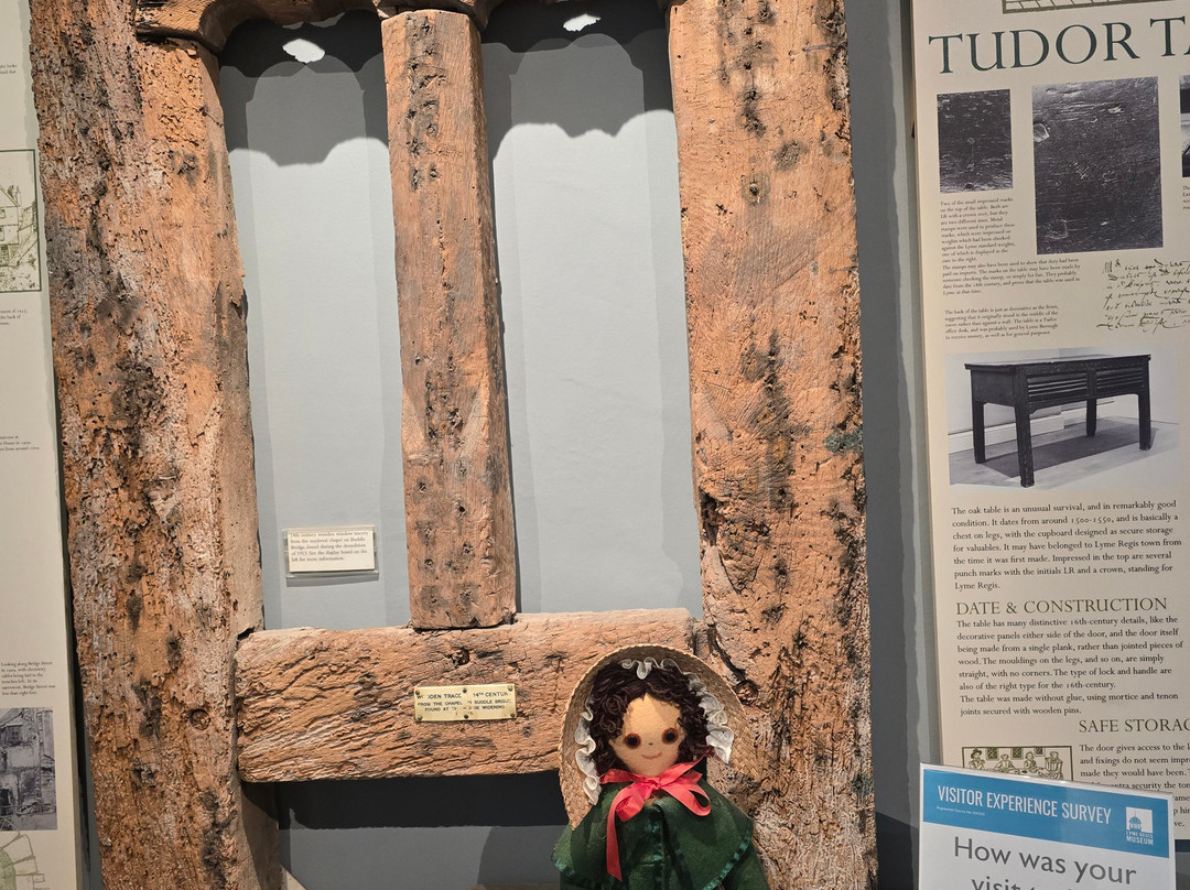 Lyme Regis Philpot Museum-莱姆里杰斯必去景点