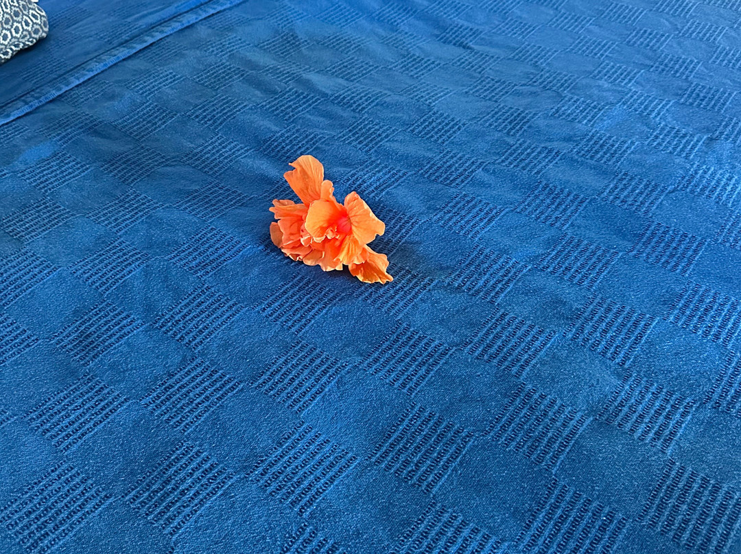 Estate Lindholm主图