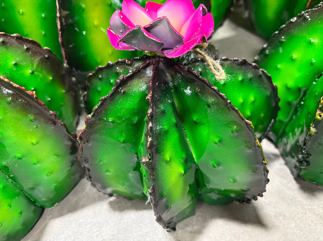 Affordable Home Luxury-Humboldt必去景点