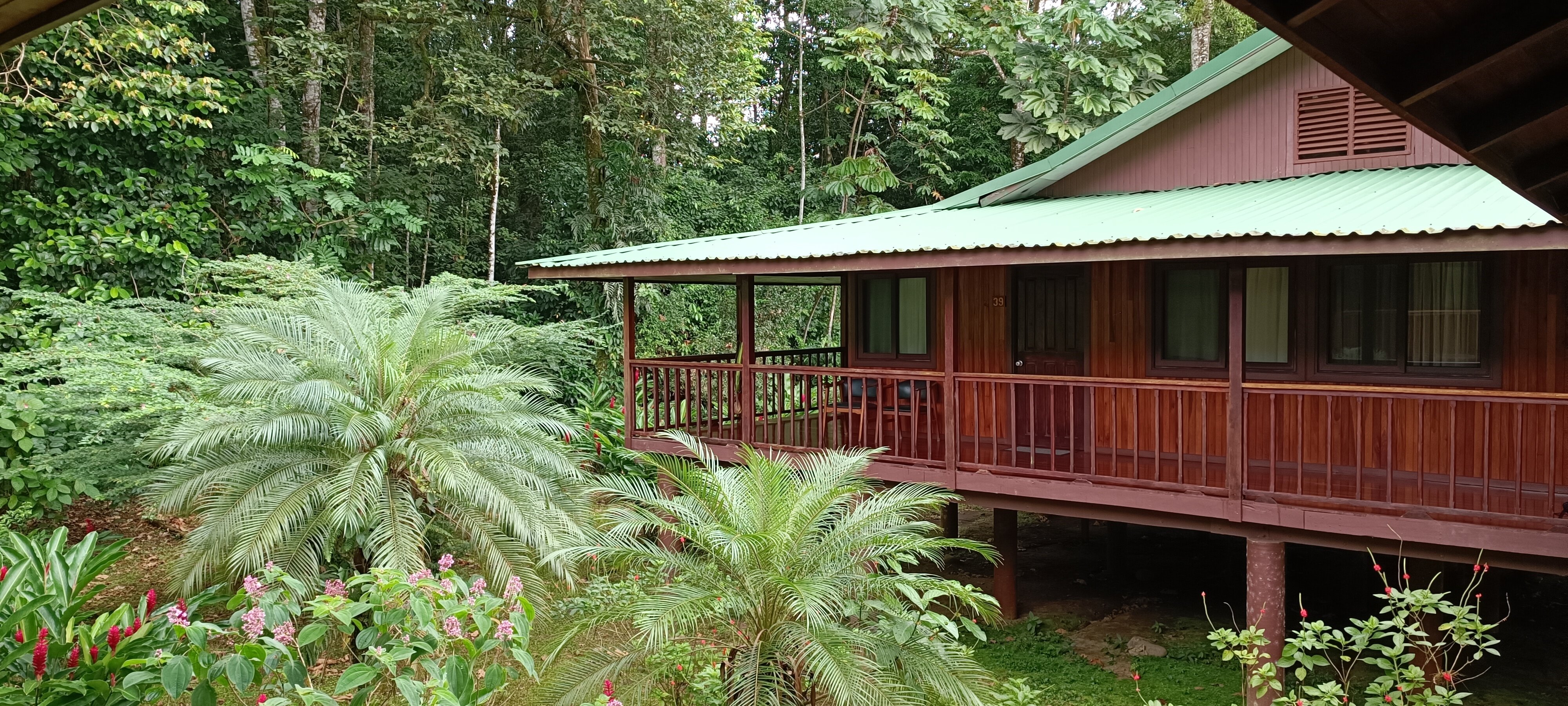 Selva Verde Lodge-官方