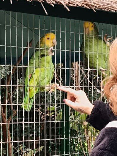 Ilha das Aves-Campanario必去景点